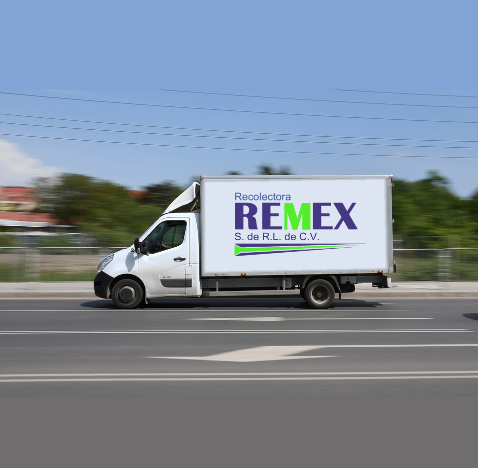 REMEX